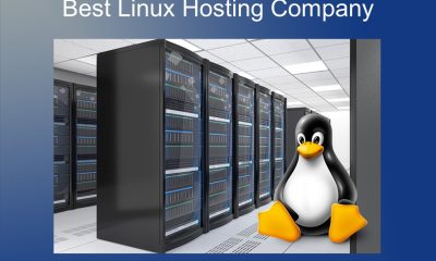 Navigating the Affordable Landscape: Exploring Cheap Linux Hosting Options in India