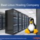 Navigating the Affordable Landscape: Exploring Cheap Linux Hosting Options in India