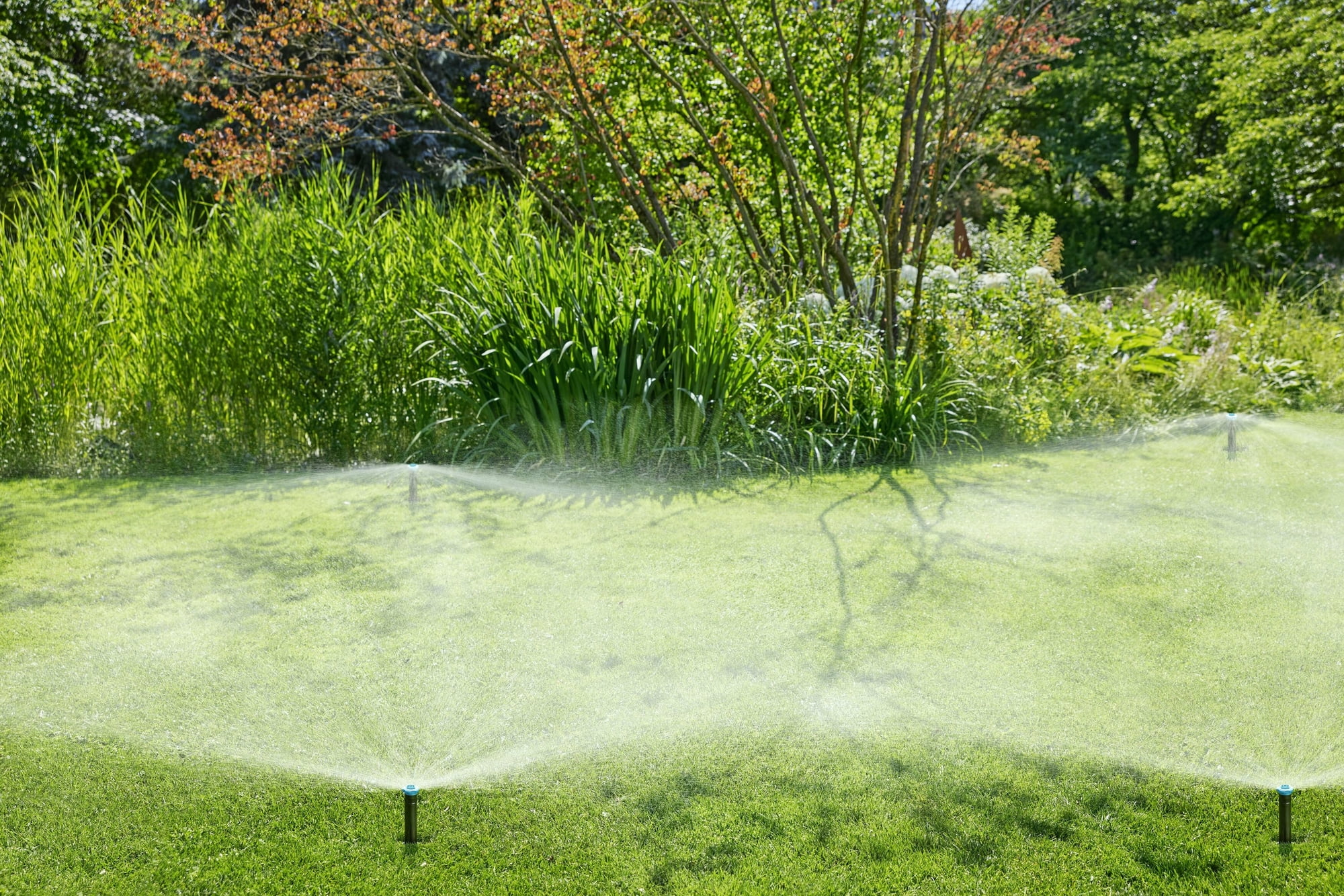 Sprinkle the Joy: How Pop-Up Sprinklers Can Transform Your Garden Oasis