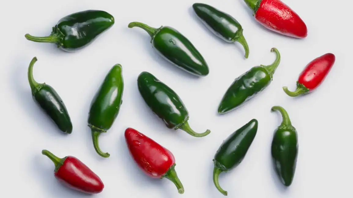 Are Jalapenos a Fruit? Exploring the Spicy Side of Botany and Culinary Delights