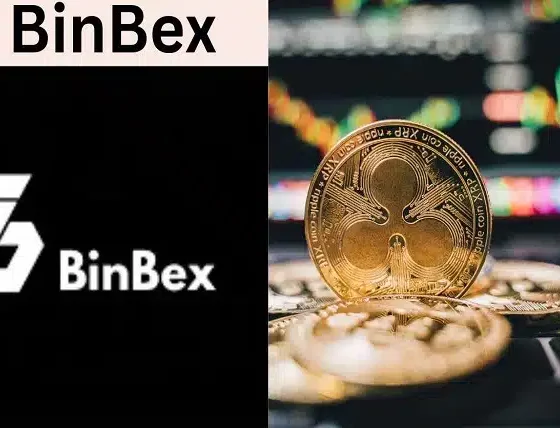 Binbex: Navigating the Crypto Seas with Confidence