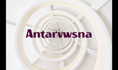 Antarvwsna: Exploring The Concept And Its Importance