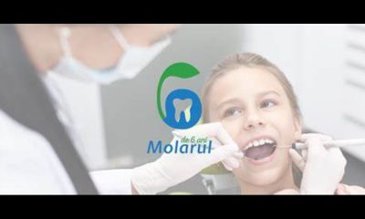 The Marvel of molarul: Understanding the Mighty Molar Tooth