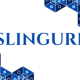 Introduction to Slinguri