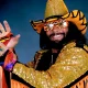 Exploring Randy Savage’s Largo House: A Glimpse into the Home of a Wrestling Legend