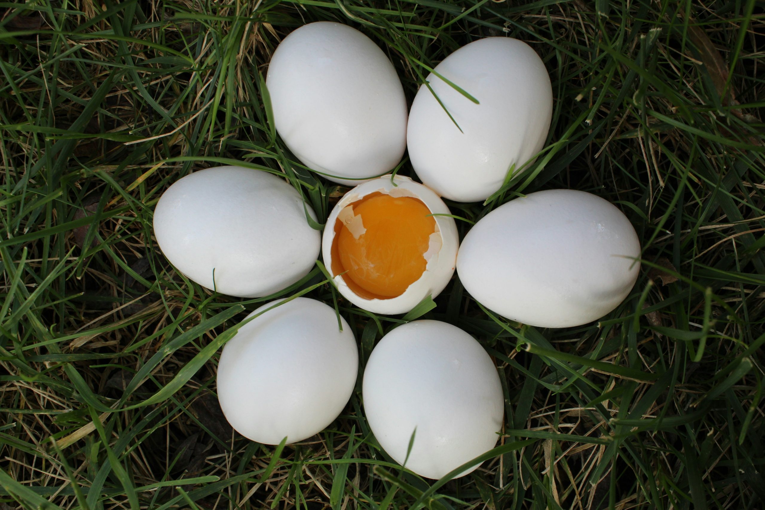 Egg shell Parenting: The Dangers of Overprotective Parenting